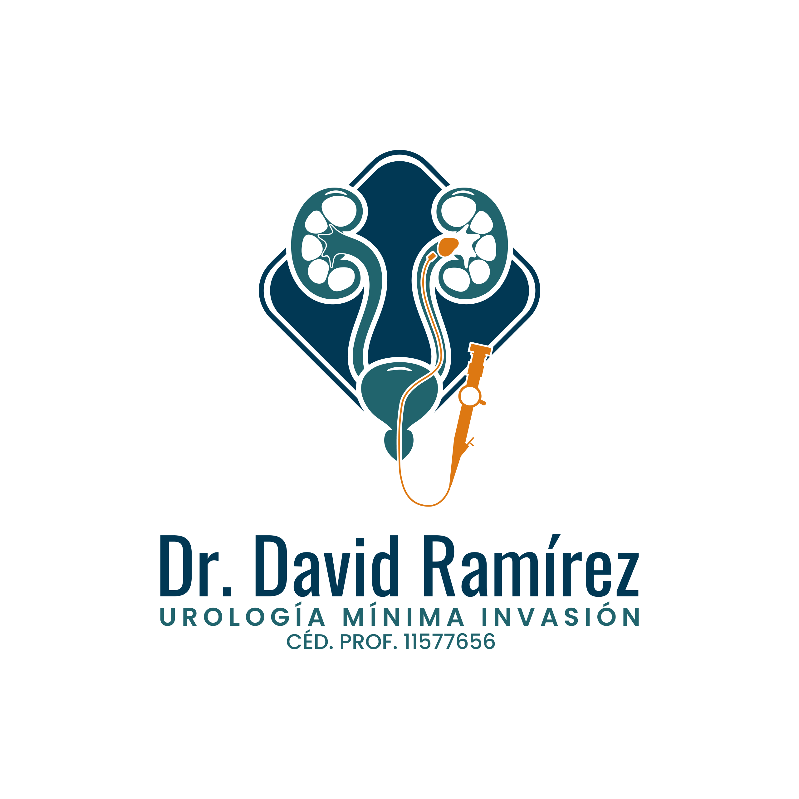 Logotipo Principal Sin Fondo